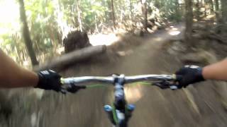 Whistler - Zappa Trails - Gee, I like Your Pants