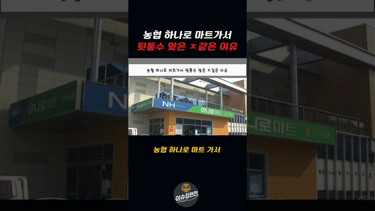 농협, 2026년 디지털 농촌의 심장이 될까? ESG부터 AI 금융까지, 엇갈린 시선 속 근황 파헤치기