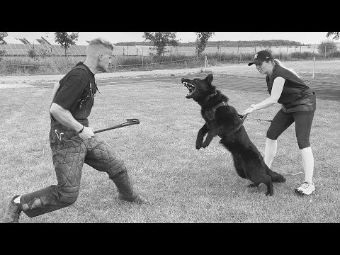 B' Ike Junior Vom Arcane - 9 months