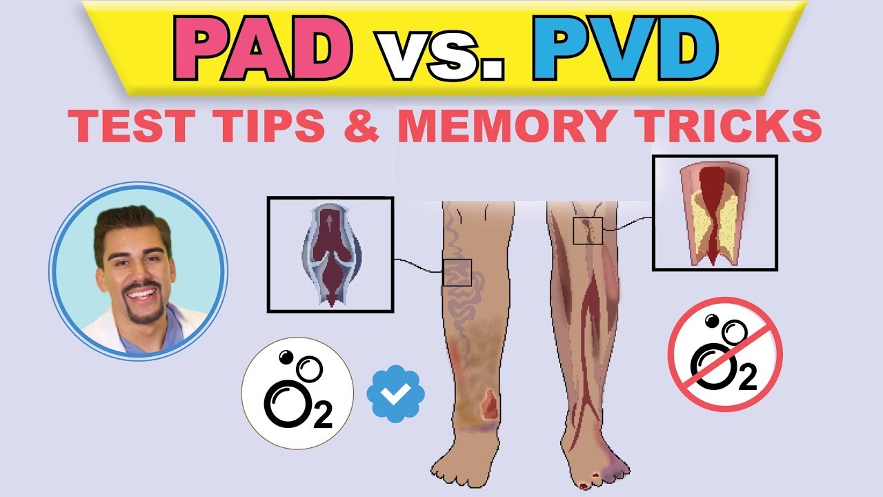PAD vs  PVI  cartoon animation & memory tricks   peripheral arterial disease pathophysiology, signs