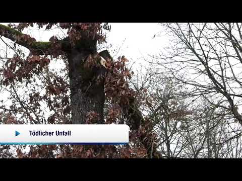 Tödlicher Unfall bei Baumfällarbeiten - Dezember 2020