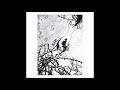 CARCAJOU - All That's Left Has Gone to Sleep (Envy cover)