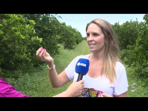 Programa SIC Rural exibido em 01 de janeiro de 2023