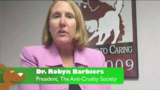 How To Deal With Your Dog's Separation Anxiety