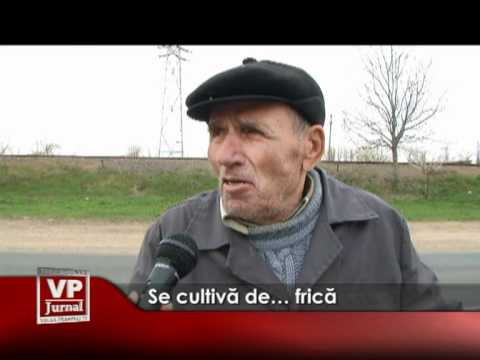 Se cultivă de… frică