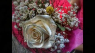 Magnolia  (Lee Fields)