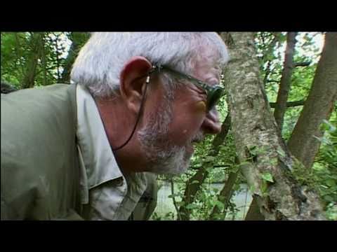 Catching The Impossible Trailer 4 - A Sport For All Seasons