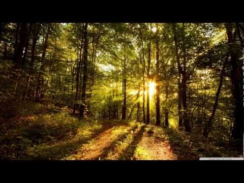 Temporal - No Story (Feat. Veela)