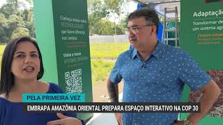 Embrapa Amazônia Oriental prepares infrastructure for the first COP in Brazil.