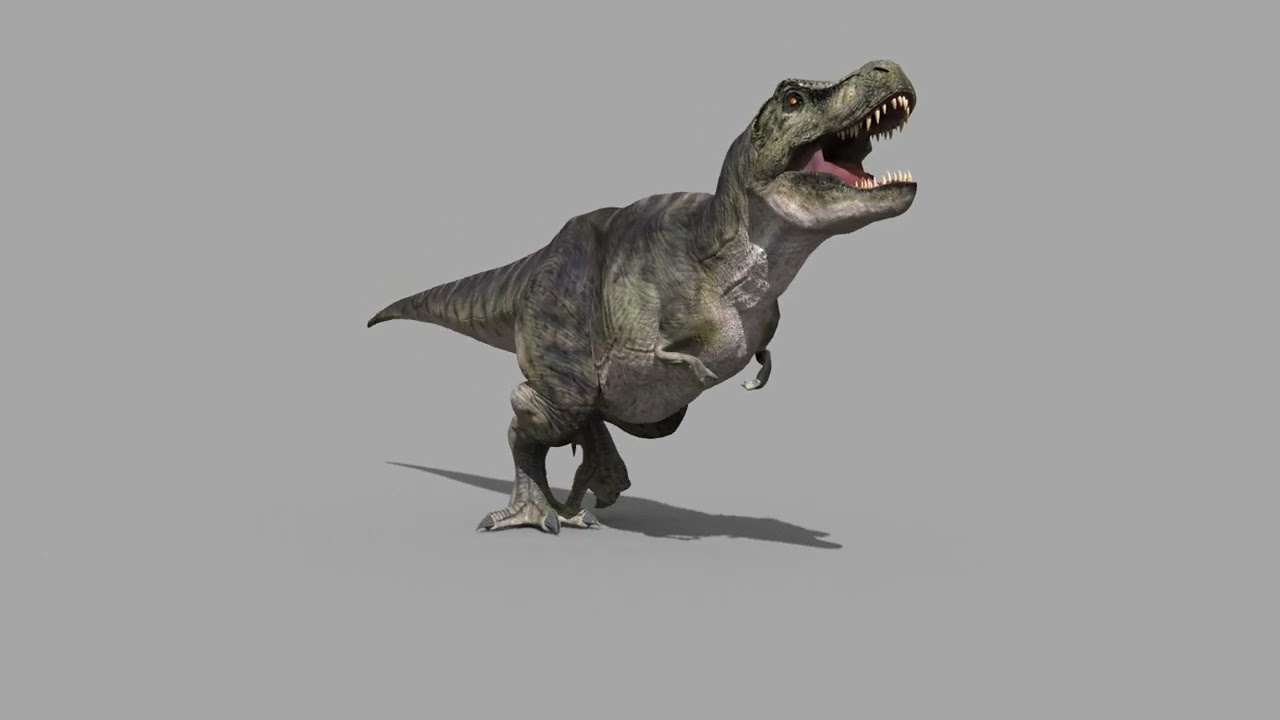 Accurate T Rex 8K - fully animated 3D Model