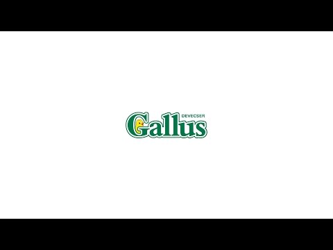 Gallus (Hungary)