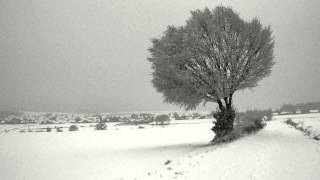 Music video thumbnail preview for Woods of Desolation - When the Frost Comes Falling Down by Woods of Desolation