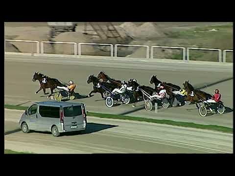 Napoli Trotto 14/02/2021 - 4ª corsa