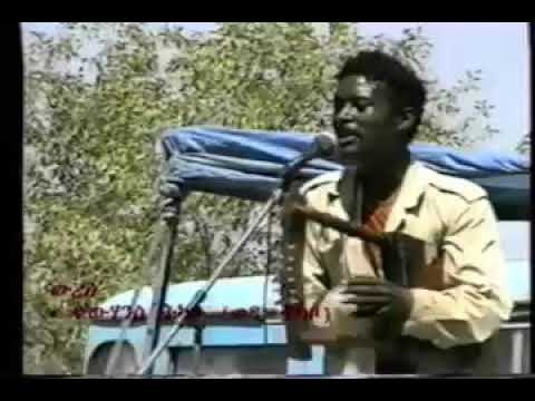 Wedi Tikabo wedi hdri