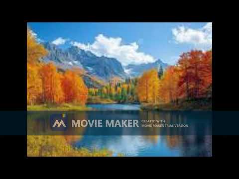 Edin Šarić - Haris Džinović ''Sjećaš li se one noći''