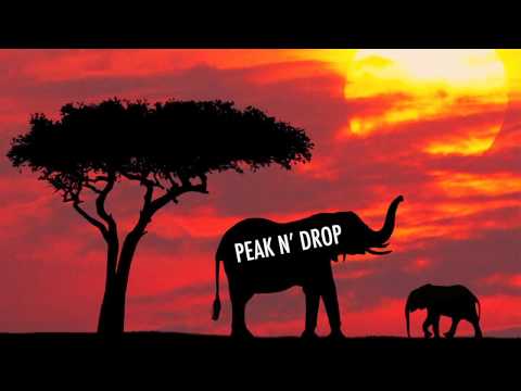 Tom Geiss & Eric G Feat. Max'C -- No More Tomorrows (Peak N' Drop Remix)