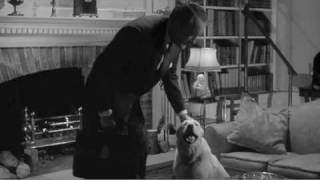 Cool Dog in VILLAGE OF THE DAMNED (1960) Scene 2