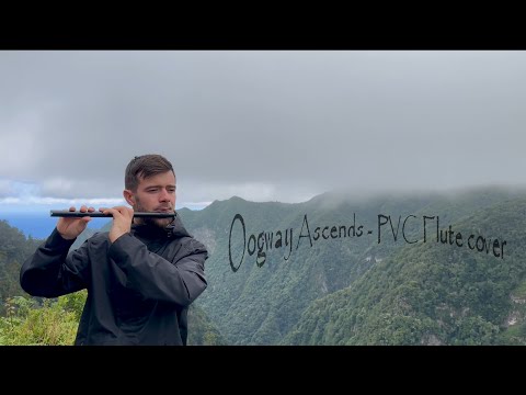 Oogway Ascends | Hans Zimmer - PVC Flute Cover