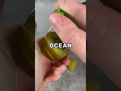 A Magician was Working on a Cruise Ship in the Caribbean