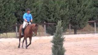 preview picture of video 'Winsome Under Saddle 10-12-11'