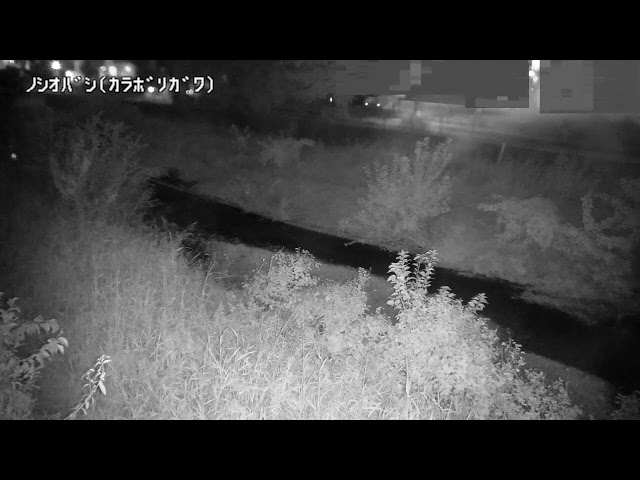 野塩橋映像監視局
