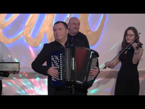 Dragan Zikic - Jesenja sarenica NG program 2017 (TV ISTOK)