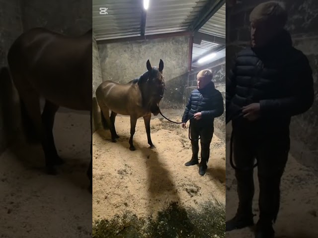 Interview with Shane Goggins (Bobbys Rider)