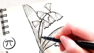 How to draw a Lily of the Valley
