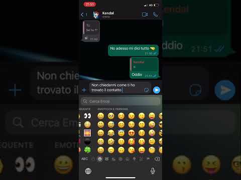 HO TROVATO IL CONTATTO DI KENDAL PRANK - SHORTS