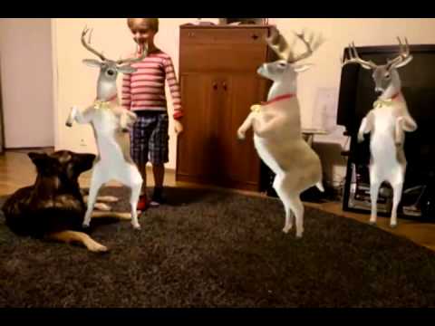 Оленьи танцы