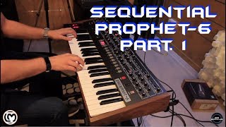 Video thumbnail for Sequential Prophet 6 Part. 1 | No Talking | by DKS SYNTH LAB