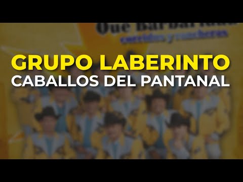 Grupo Laberinto - Caballos del Pantanal (Audio Oficial)