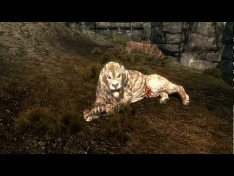 Skyrim Mod Spotlights - Skyrim Mod Spotlight: Jango Sabrecat - Pets in Skyrim