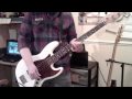 RHCP - Don't Forget Me (bass cover) 