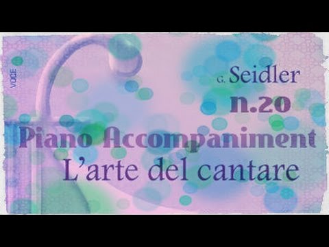 Seidler n.20 - Piano Accompaniment (Play-Along)