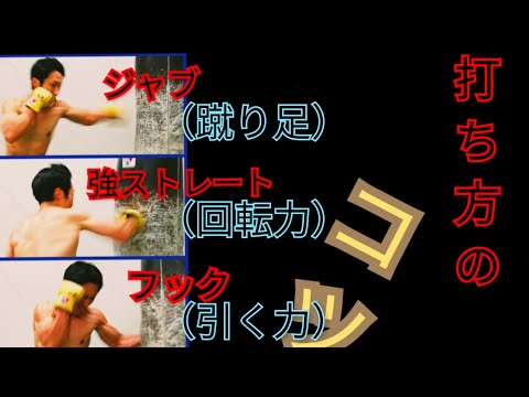パンチ　打ち方（三種:ジャブ、ストレート、フック）