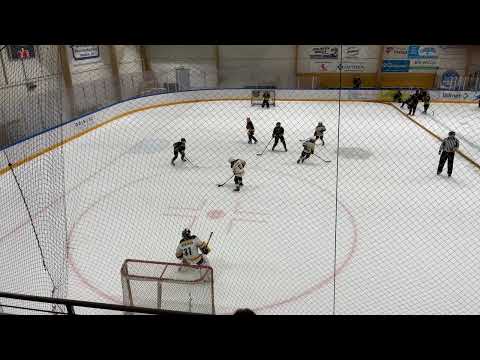 29.11.2020 U11 Fortuna-Ilves Devils, pienpelit