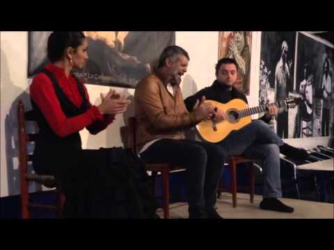 flamenco La Carboneria Sevilla 18 02 2014