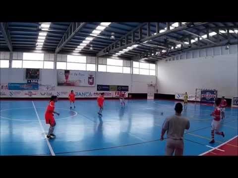 POIO - VIAJES AMARELLE B