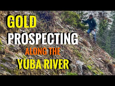 Gold Prospecting along the Yuba River