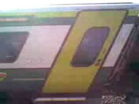 Scared by the train in sallins