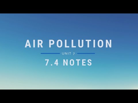 7.4 APES Notes (Morey)