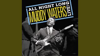 The Blues Had A Baby And They Named It Rock And Roll