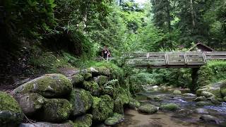 New Life Hiking Spa & Wellness Retreat