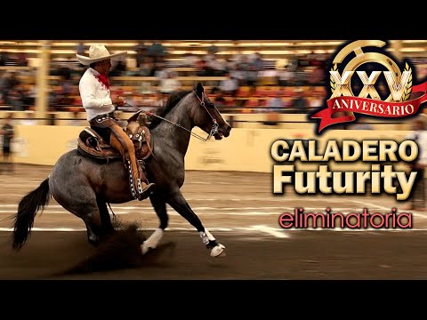 2022 Caladero Futurity Round 3 - Top 30 - 2022 THV Millionaire Championship