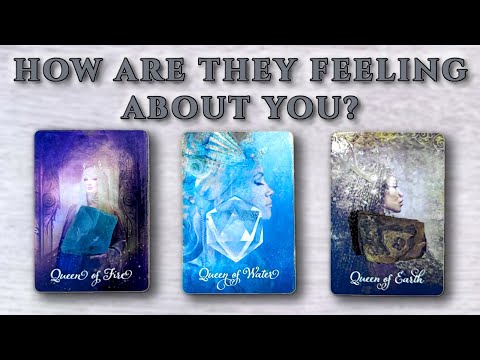 💖 Their True Feelings for You + Next Move | Love Tarot Reading  | Timeless 🔮 | Pick A Card 💞