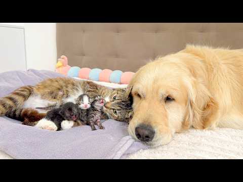YouTube 썸네일