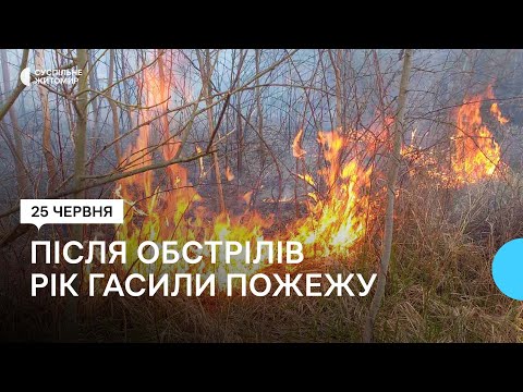 ​Один из пожаров тушили круглый год: В заповеднике на Житомирщине рассказали о последствиях обстрелов армией РФ