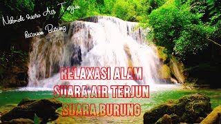 Download lagu Suara Air Terjun Dan Suara Burung Di Alam Untuk Relaksasi mp3 Download lagu Suara Air Terjun Dan Suara Burung Di Alam Untuk Relaksasi mp3