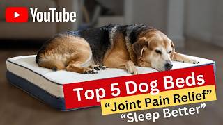 Top 5 best dog bed for joint pain review (Hidden Gem) Orthop